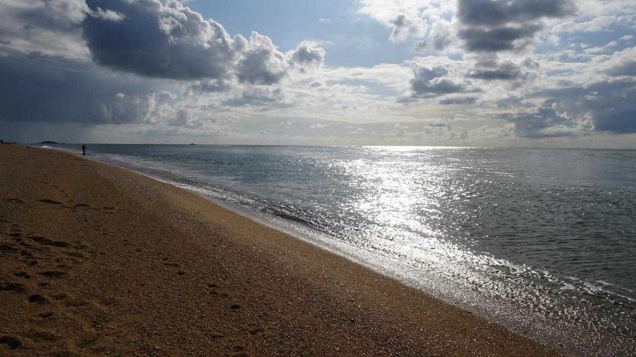 Kerwood Sud Morbihan Vue Sur La Vilaine
