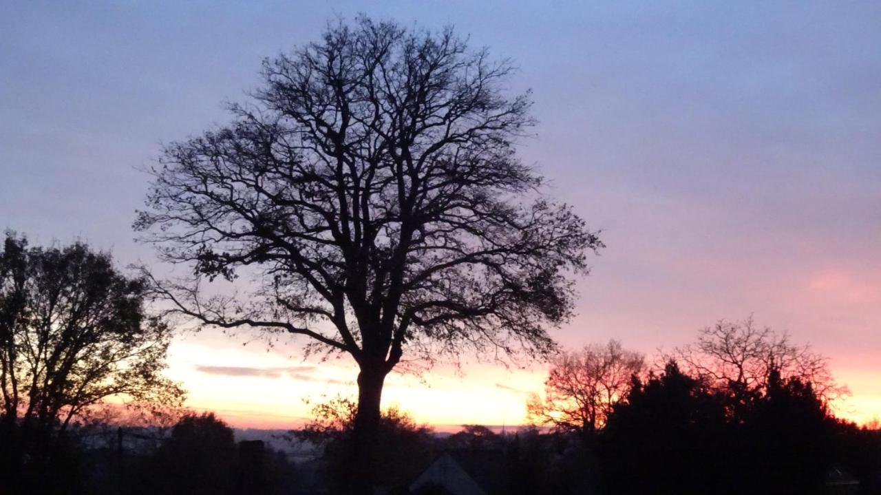 Kerwood Sud Morbihan Vue Sur La Vilaine * Beganne